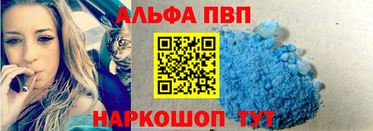 A PVP СК Новодвинск