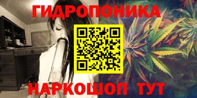 PSILOCYBIN Северобайкальск