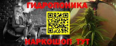 PSILOCYBIN Северобайкальск
