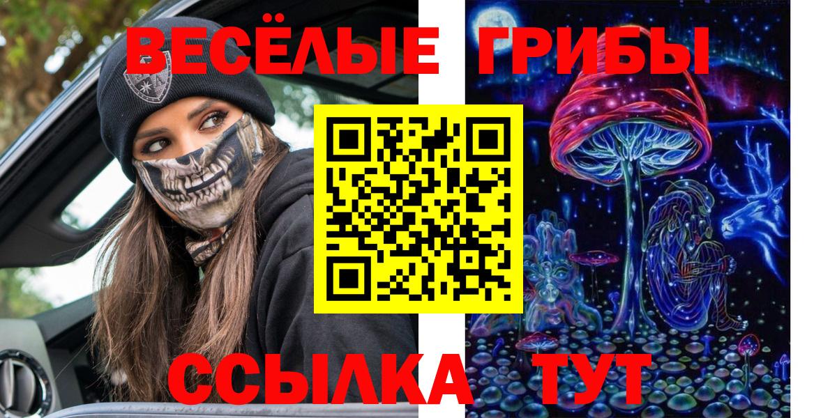 Новодвинск  Галлюциногенные грибы ЛСД  Вход с VPN 