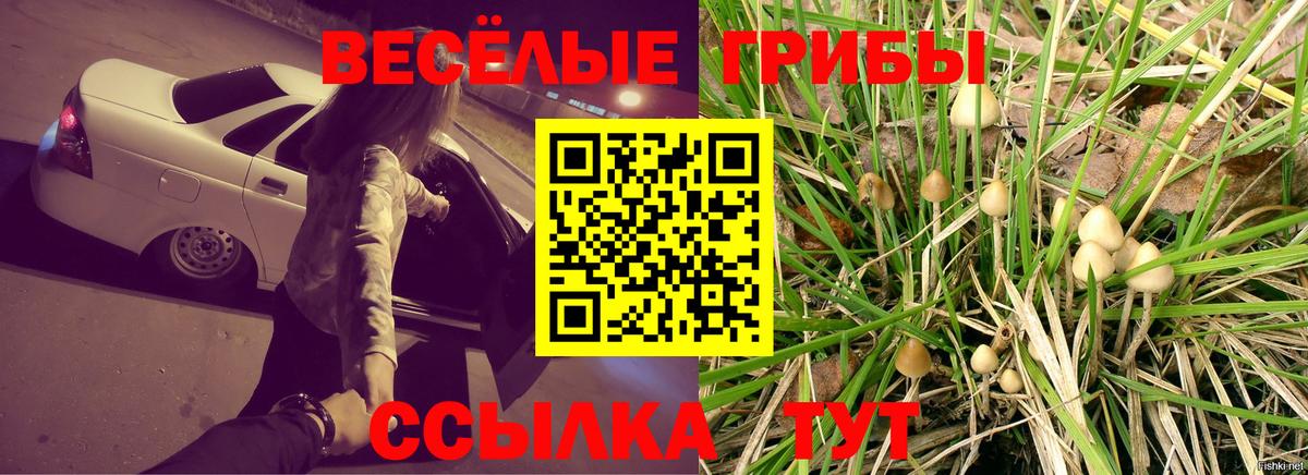 Галлюциногенные грибы мицелий Новодвинск